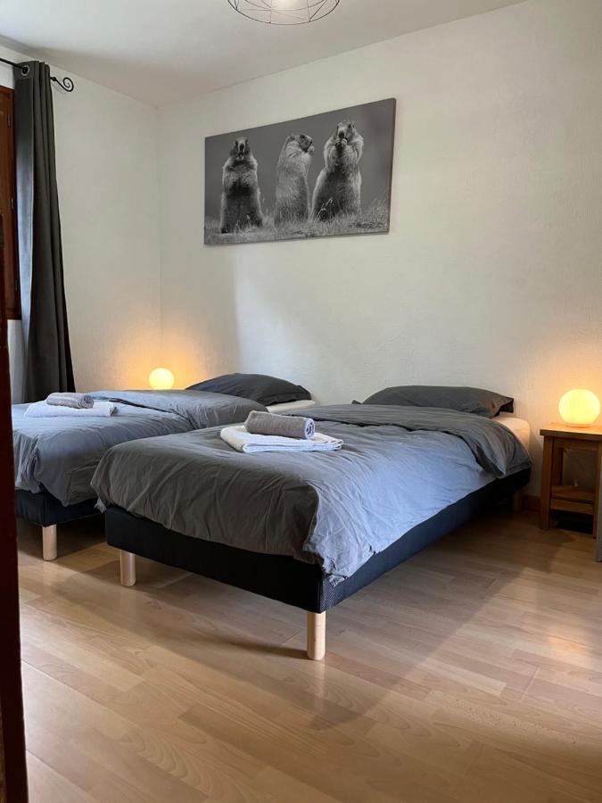 Appartement Rez De Jardin, 2 Chambres/ 4 Personnes, Garage. ブリアンソン エクステリア 写真